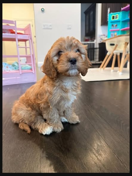 Alex and Stacy - Image 2